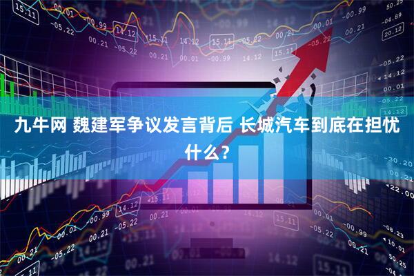 九牛网 魏建军争议发言背后 长城汽车到底在担忧什么？
