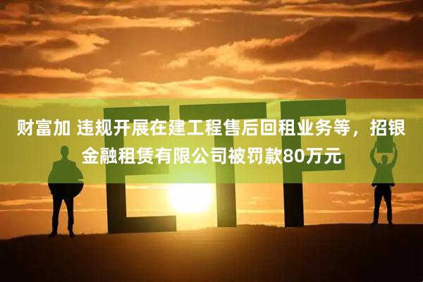 财富加 违规开展在建工程售后回租业务等，招银金融租赁有限公司被罚款80万元