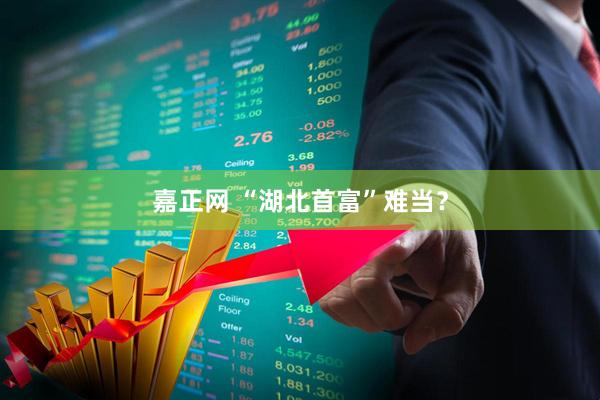 嘉正网 “湖北首富”难当？