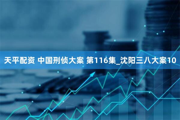 天平配资 中国刑侦大案 第116集_沈阳三八大案10