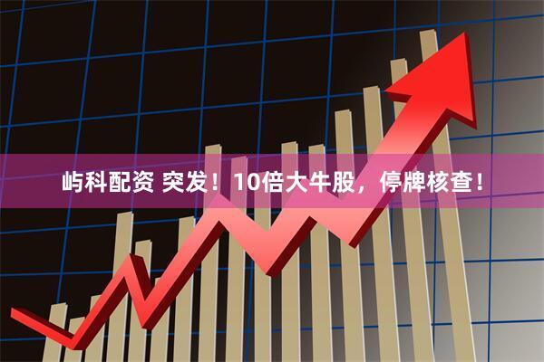 屿科配资 突发！10倍大牛股，停牌核查！