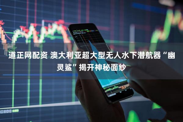 道正网配资 澳大利亚超大型无人水下潜航器“幽灵鲨”揭开神秘面纱