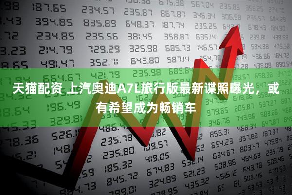 天猫配资 上汽奥迪A7L旅行版最新谍照曝光，或有希望成为畅销车